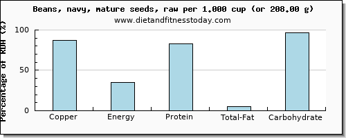 copper and nutritional content in navy beans